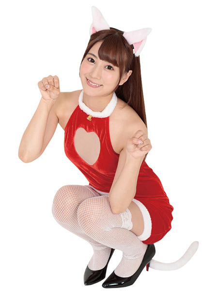 ネコ科ネコ目サンタ